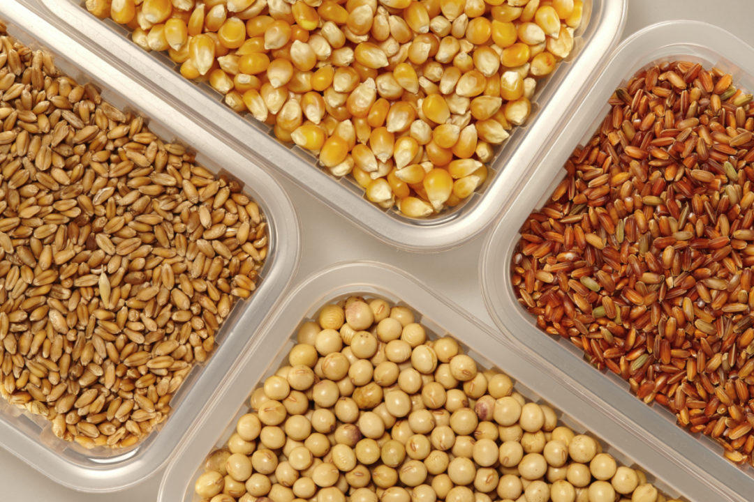  IGC: producción mundial de cereales revisada a la baja