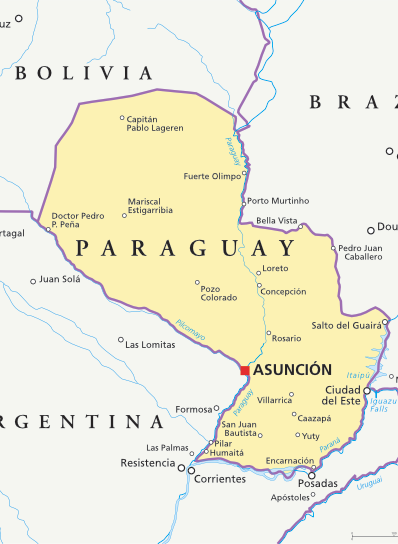 Paraguay prevé un repunte en la producción de trigo