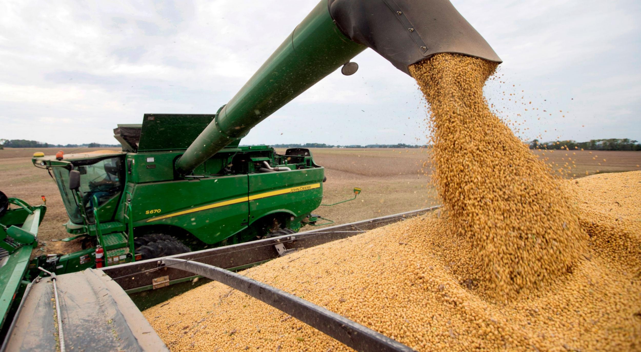 La cosecha de soja en Brasil entra en la recta final y alcanza el 91,8%