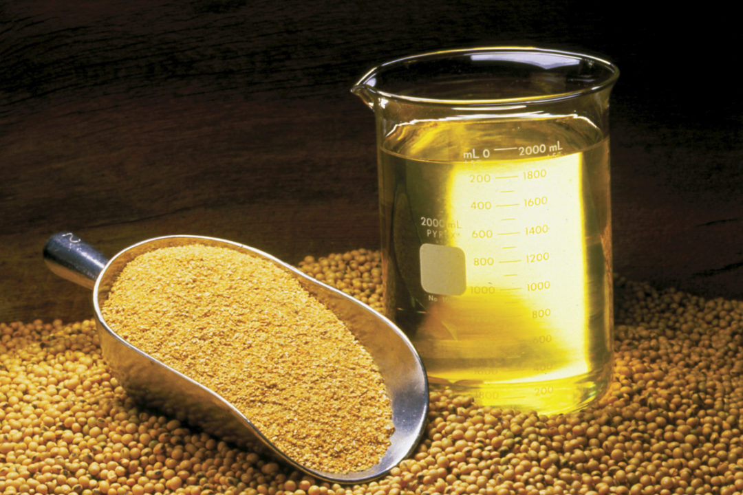 Argentina suspende registro de ventas de exportación de aceite y harina de soja