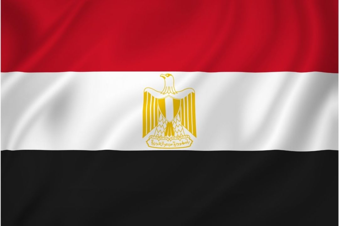 Egipto aumenta el nivel de humedad permitido para las importaciones de trigo