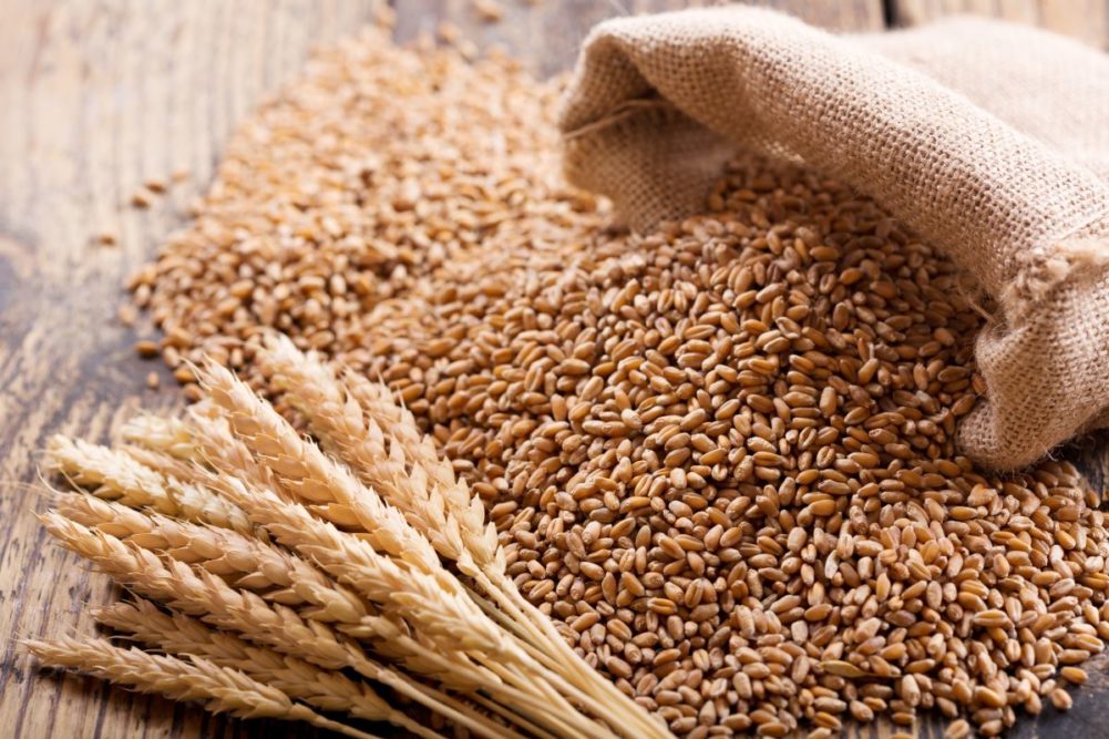 Al Dahra asegura acuerdo de importación de trigo para Egipto