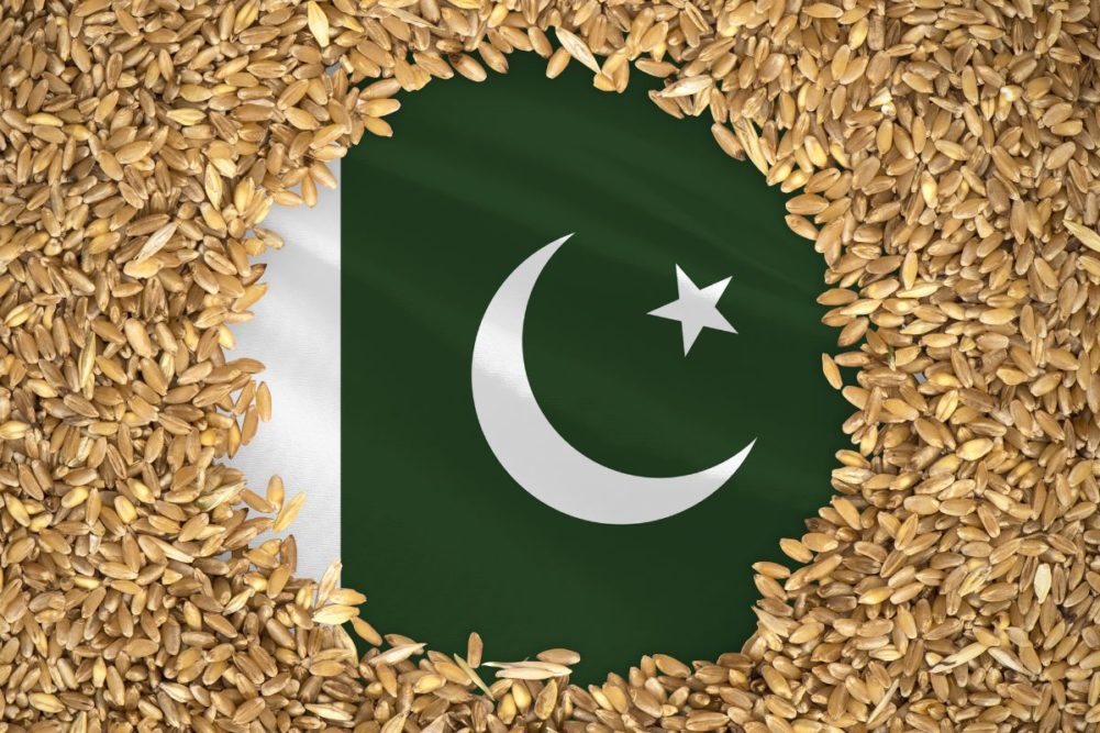 Pakistán prevé una cosecha récord de trigo