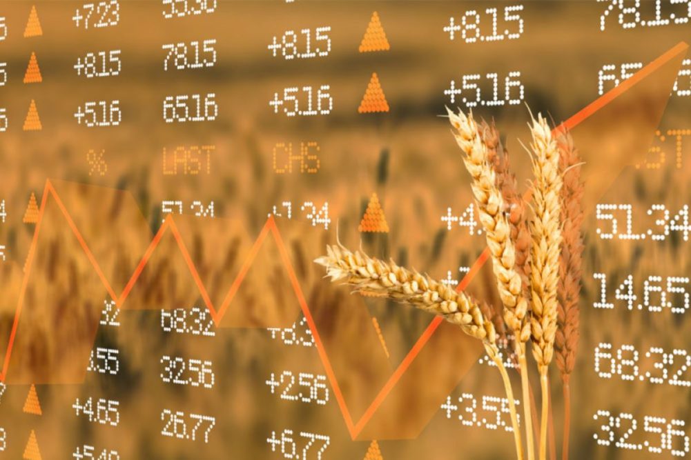 CME lanzará nuevos contratos de futuros de spread de trigo
