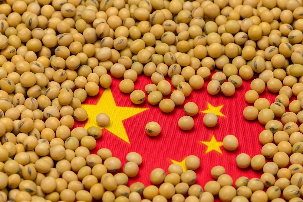  Las importaciones de soja de China se ven disminuir ligeramente
